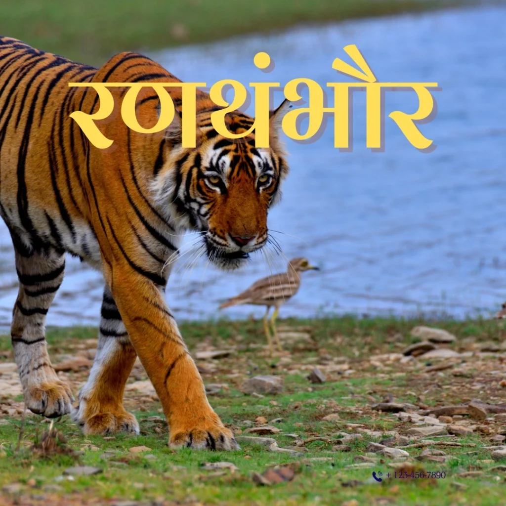 Ranthambore Tour